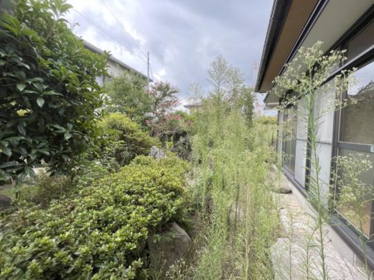 ꌧsؐ5ڂ̒ÈˌẲ摜